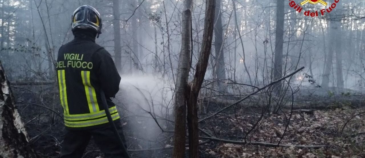 I vigili del fuoco nel parco Groane a Barlassina