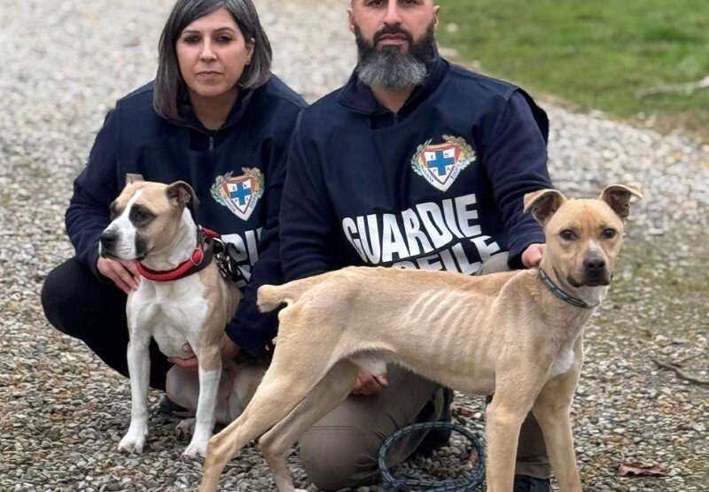 Enpa MB guardie cinofile