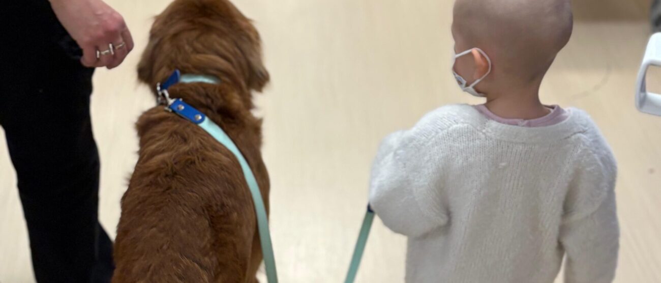 Monza Fondazione Verga Pet Therapy