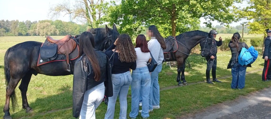 Giornata legalità 2026 parco di Monza carabinieri a cavallo