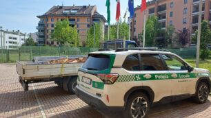 Monza 2026 Polizia locale autocarro sequestrato