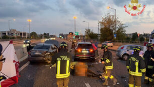Valassina incidente cavallo - foto Vigili del Fuoco
