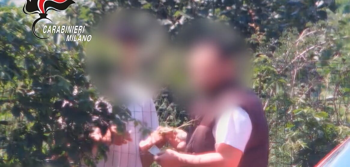 Un frame diffuso dai carabinieri sulla attività di spaccio