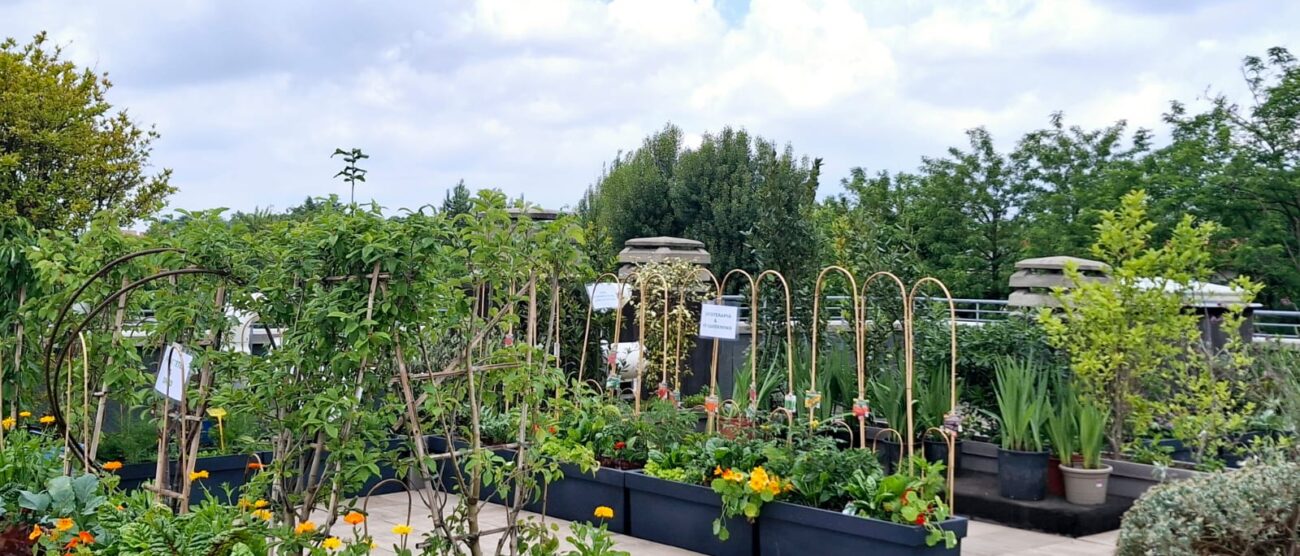 Monza Verga giardino therapy orto