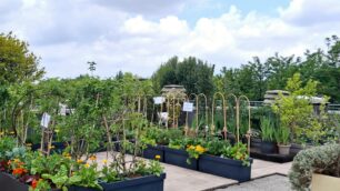Monza Verga giardino therapy orto