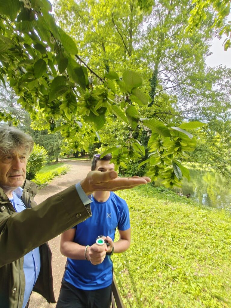 Parco di Monza Takahashia coccinelle