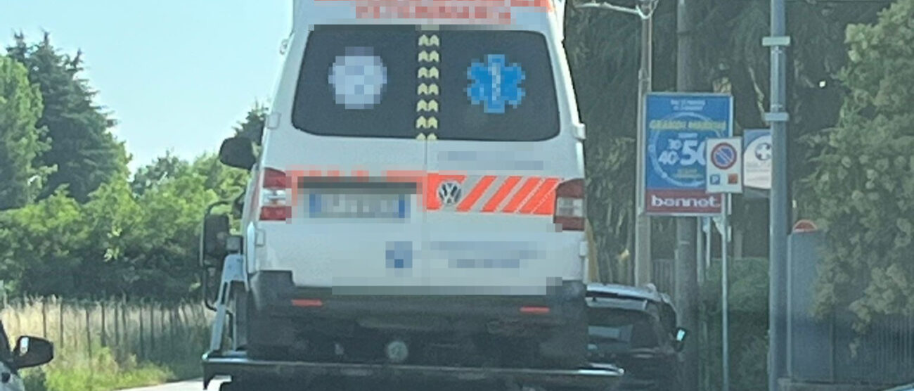 Meda ambulanza veterinaria