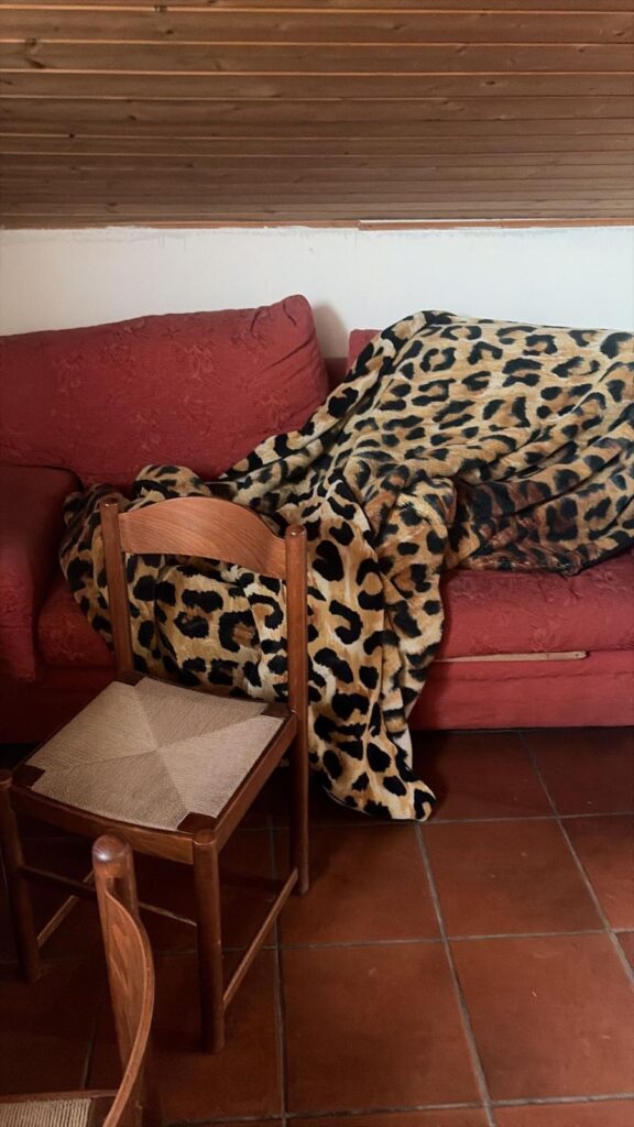 Limbiate dormitorio abusivo