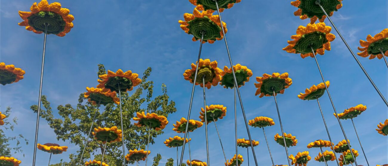 Monza girasoli all'uncinetto villa Torneamento