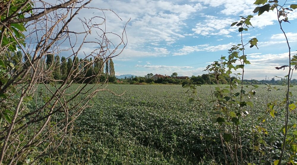 Parco GruBria strategia aGREENment