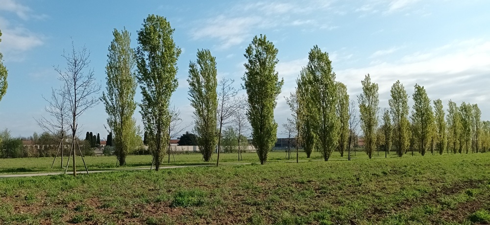 Parco GruBria strategia aGREENment