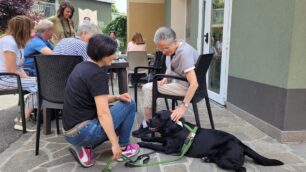Pet therapy Il Paese ritrovato Monza