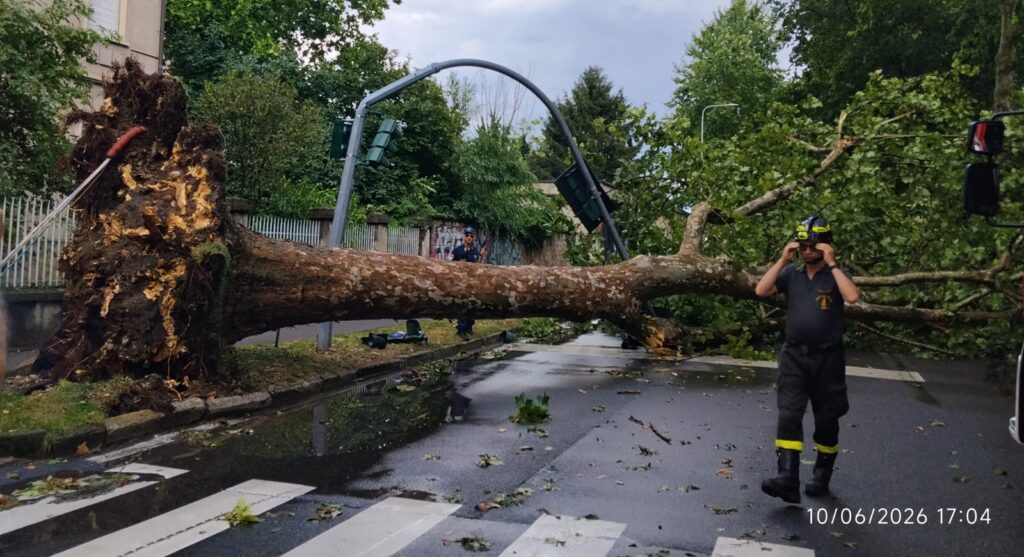Albero crollato a Monza, vie Tiepolo-Foscolo