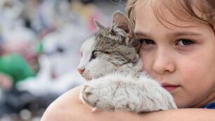 Enpa Antiabbandono gatto