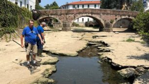 Monza Enpa Operazione San Gerardino