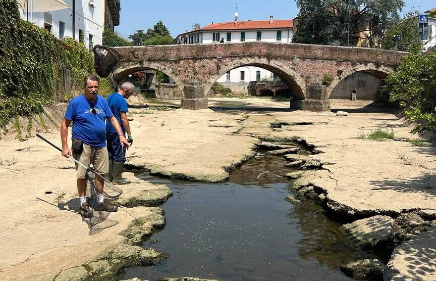 Monza Enpa Operazione San Gerardino