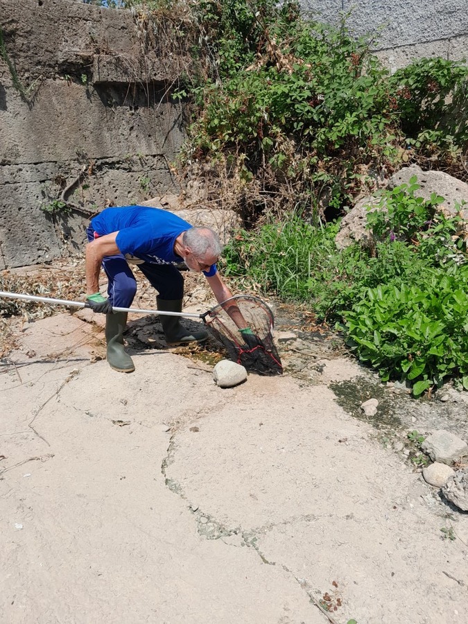 Monza Enpa Operazione San Gerardino