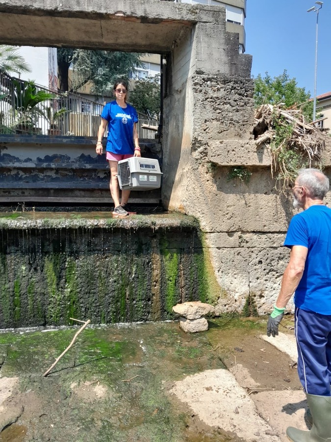 Monza Enpa Operazione San Gerardino