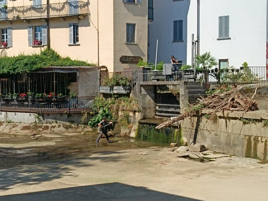 Monza Lambro senza acqua recupero pesci