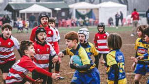 Seregno 2026 Rugby