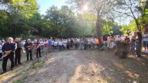 Seveso scopertura targa pioppo monumentale