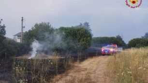 Incendio sterpaglie