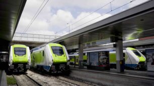 Treno Caravaggio Stazione MI Garibaldi