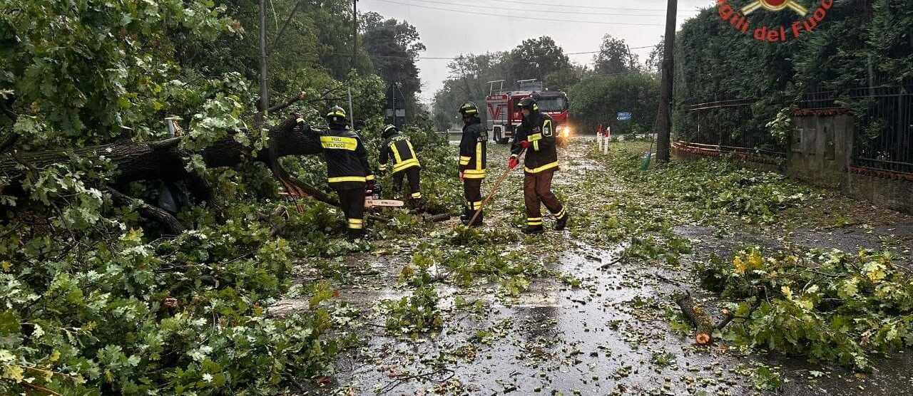 Uno degli interventi dei vigili del fuoco sul territorio