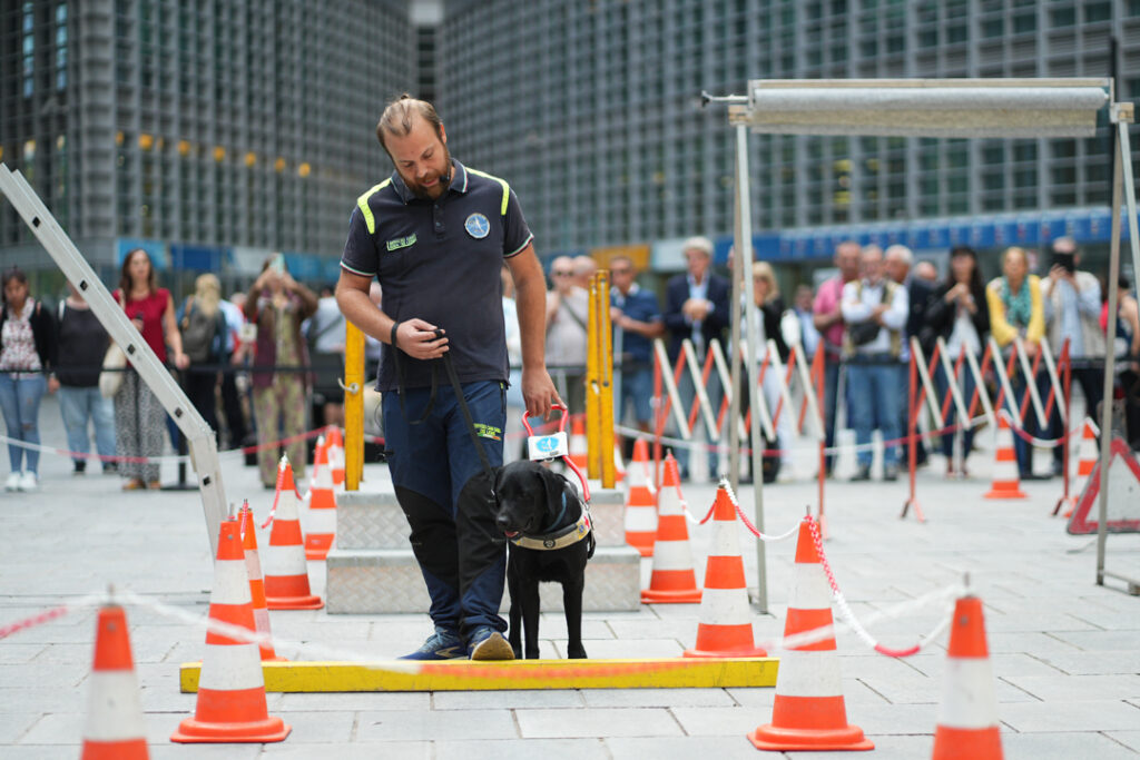 Giornata nazionale dei cani guida, Unione Italiana dei Ciechi e degli Ipovedenti e Regione
