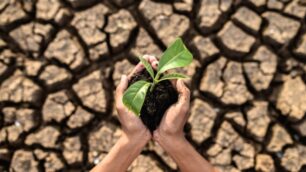Cambiamenti climatici - foto Freepik