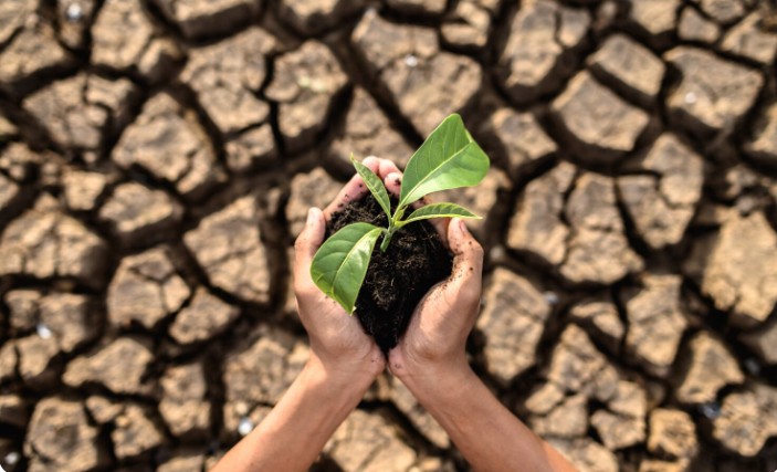 Cambiamenti climatici - foto Freepik