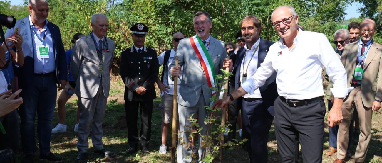 F1 Monza Ogni pilota un albero