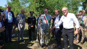 F1 Monza Ogni pilota un albero