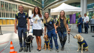 Giornata nazionale dei cani guida, Unione Italiana dei Ciechi e degli Ipovedenti e Regione