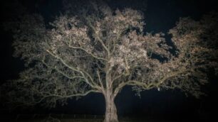 Monza mostra foto Parco