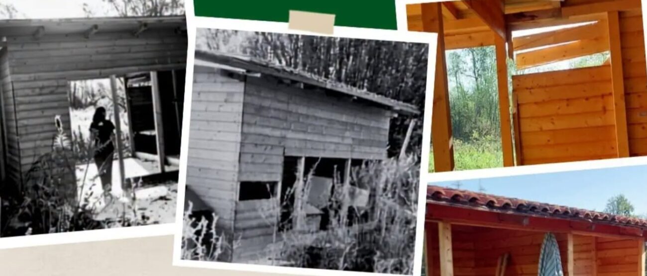 Volantino appello Green House particolare foto
