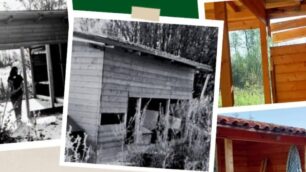 Volantino appello Green House particolare foto