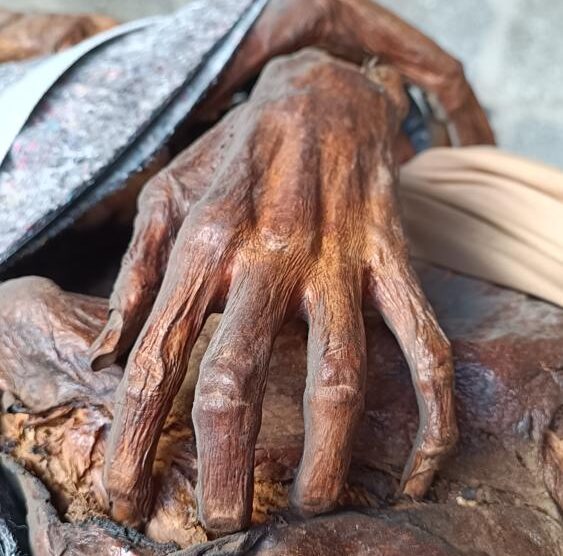 La mummia di Estorre Visconti
