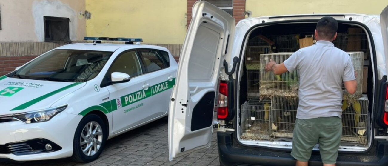 Albiate polizia locale animali sequestrati