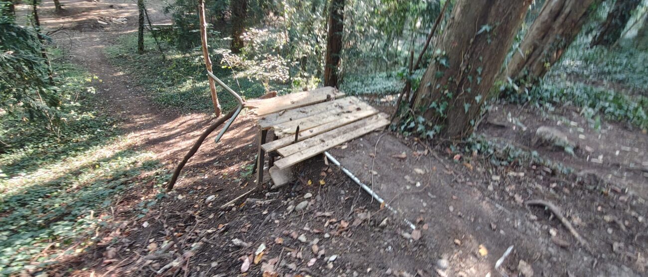 La pista abusiva di mountain bike al Parco di Monza