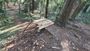 La pista abusiva di mountain bike al Parco di Monza