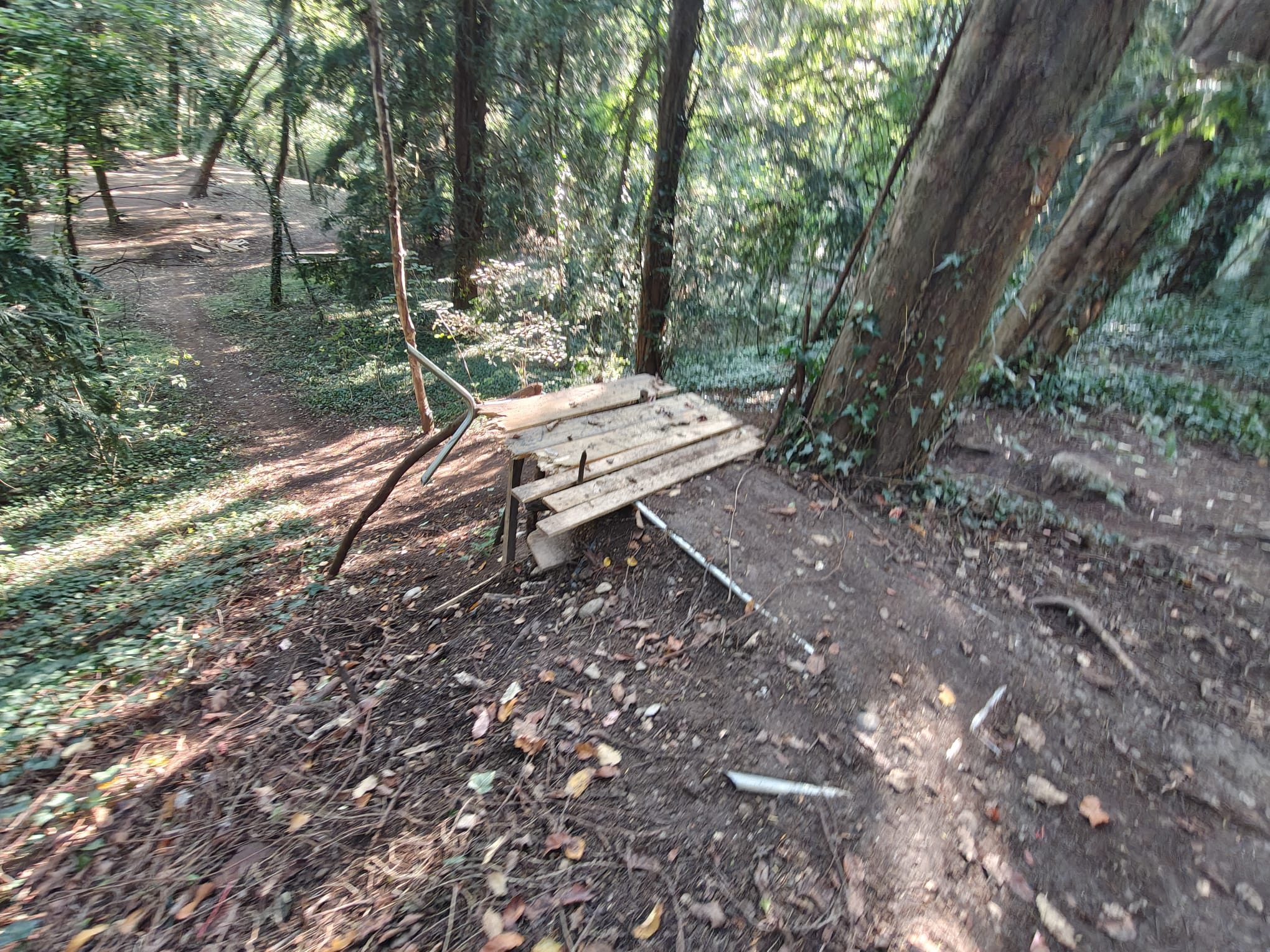 La pista abusiva di mountain bike al Parco di Monza