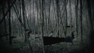 Parco di Monza cortometraggio Davide Carollo