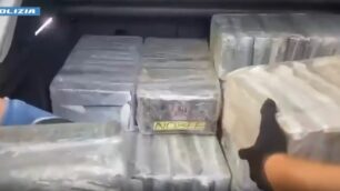 Parte della droga sequestrata dalla Polizia a Cesano Maderno